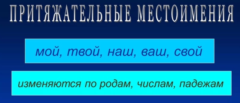 Притяжательные местоимения в русском языке